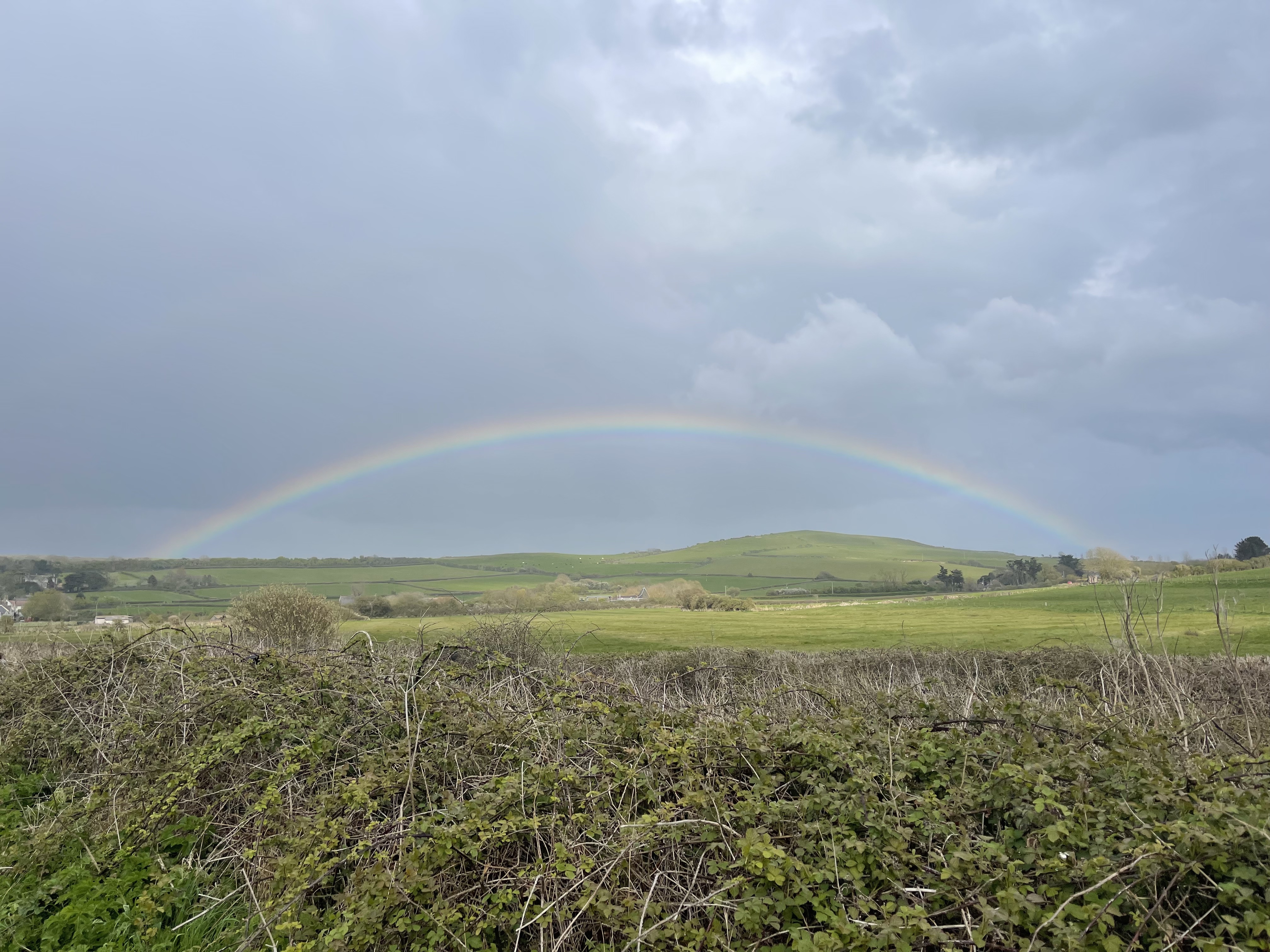 Rainy Day Activities in West Dorset