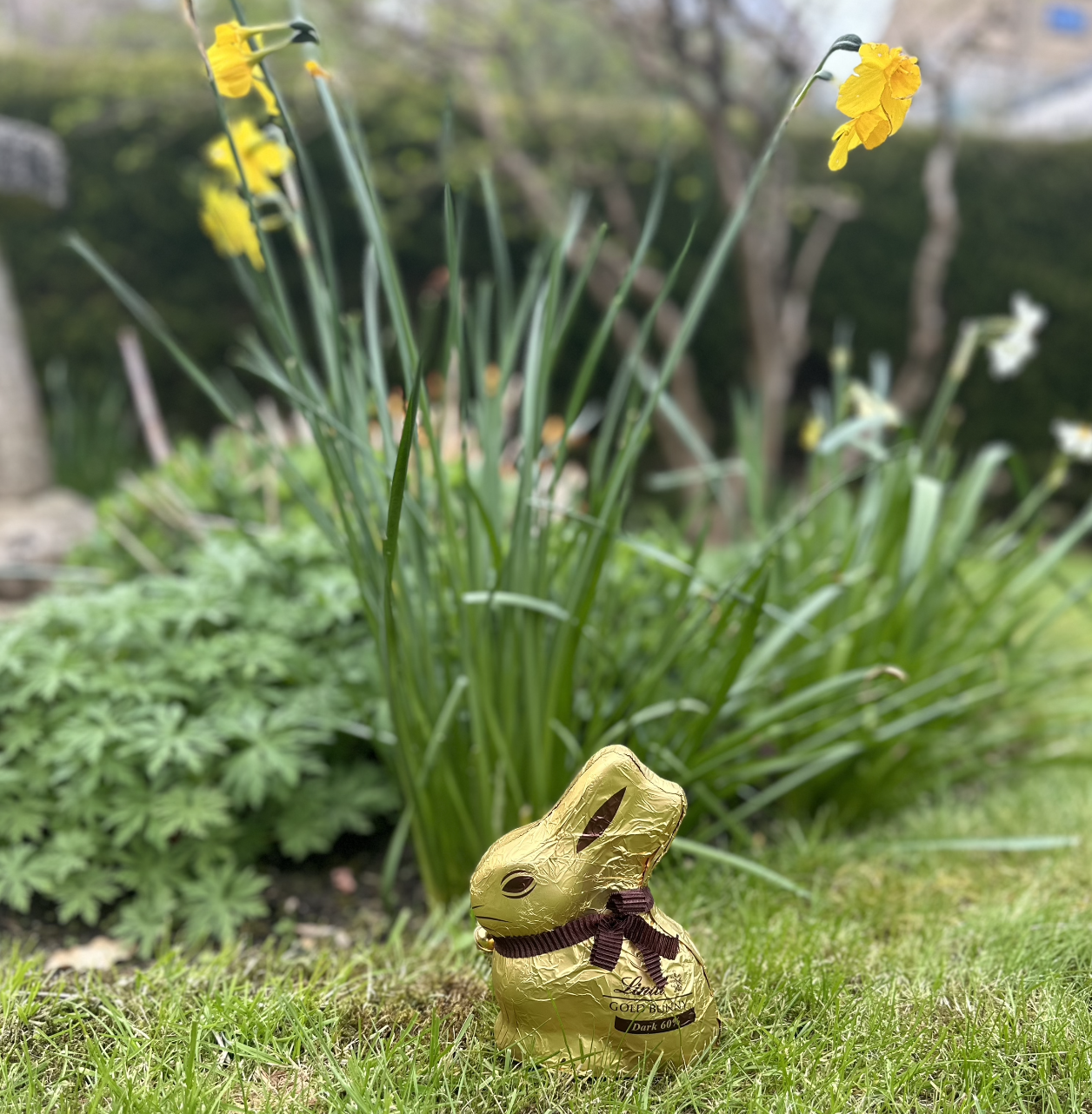 30 Things to Do in Dorset This Easter Holidays (2026)