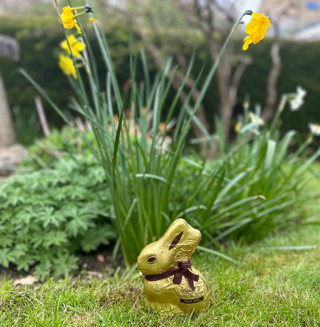 30 Things to Do in Dorset This Easter Holidays&nbsp;(2026)